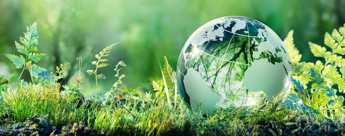 Sustentabilidade